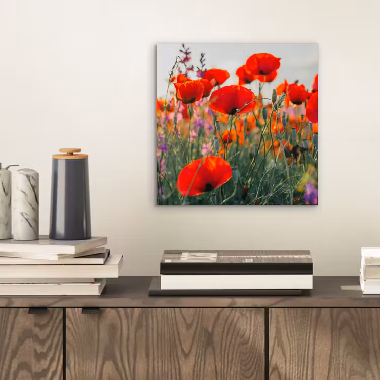 Aluminium schilderij - Klaproos - Bloemen - Rood - Paars - Weide — 2