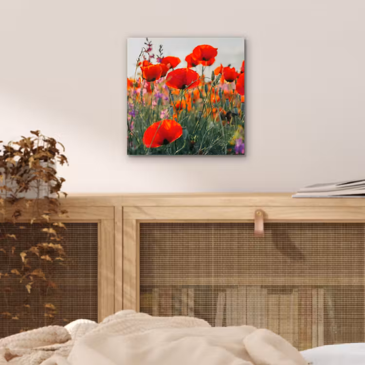 Aluminium schilderij - Klaproos - Bloemen - Rood - Paars - Weide — 4