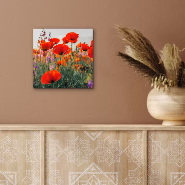 Aluminium schilderij - Klaproos - Bloemen - Rood - Paars - Weide — 5