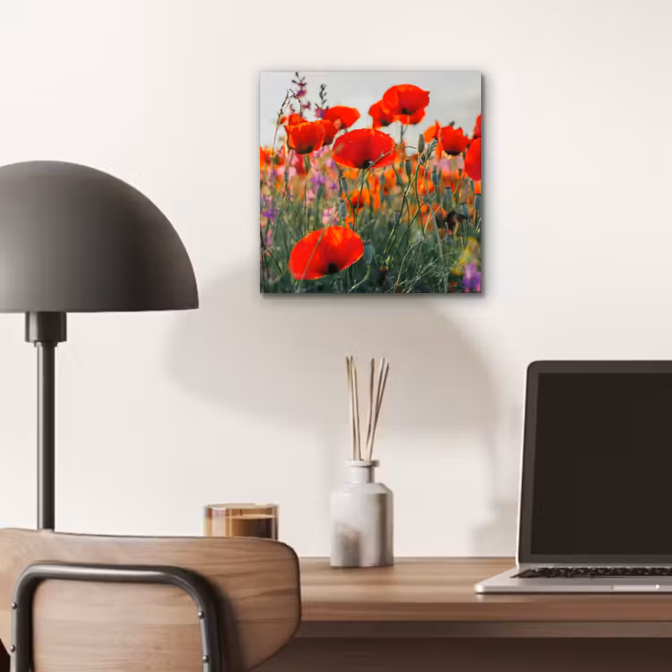 Aluminium schilderij - Klaproos - Bloemen - Rood - Paars - Weide — 6