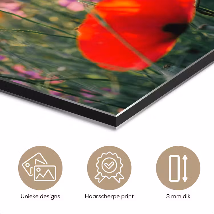 Aluminium schilderij - Klaproos - Bloemen - Rood - Paars - Weide — 7