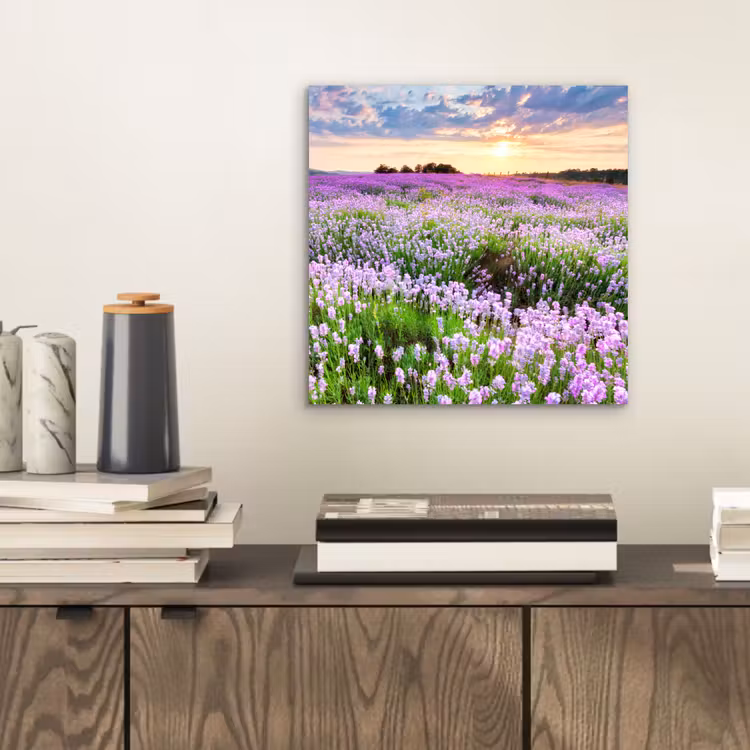 Aluminium schilderij - Lavendel - Bloemen - Zonsondergang - Paars - Weide — 2