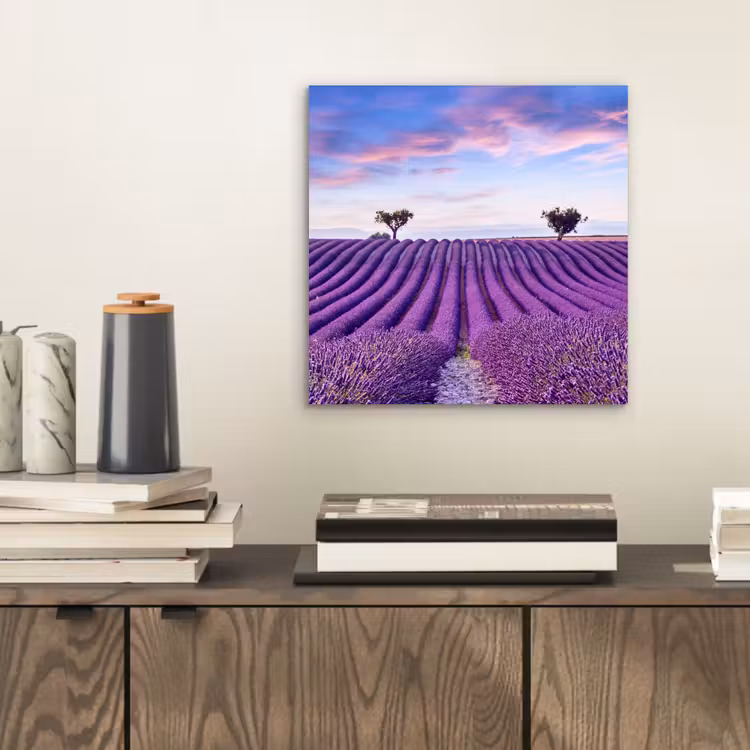Aluminium schilderij - Lavendel - Natuur - Paars - Bomen - Bloemen — 2