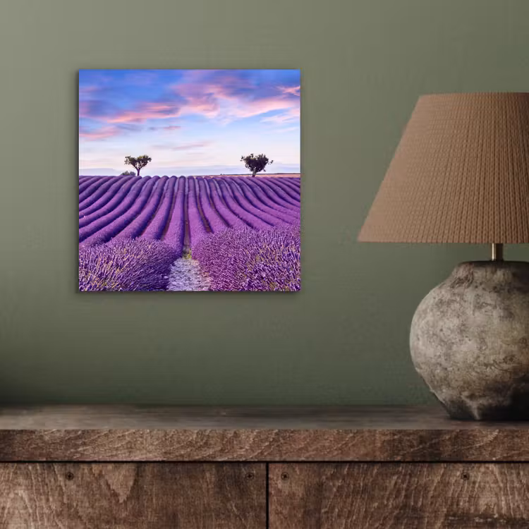 Aluminium schilderij - Lavendel - Natuur - Paars - Bomen - Bloemen — 3