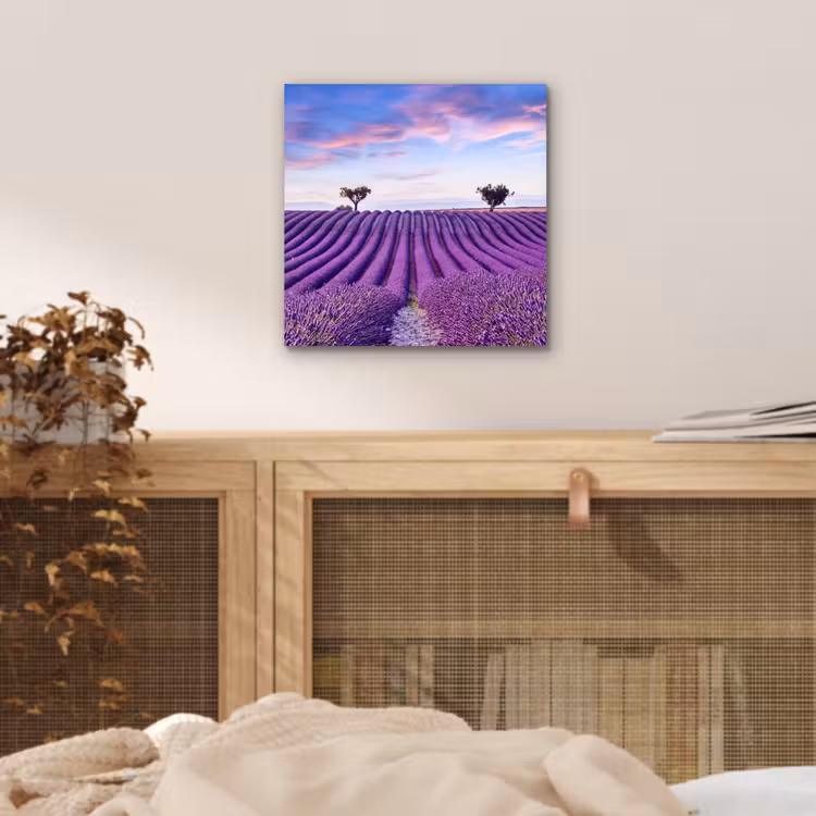 Aluminium schilderij - Lavendel - Natuur - Paars - Bomen - Bloemen — 4