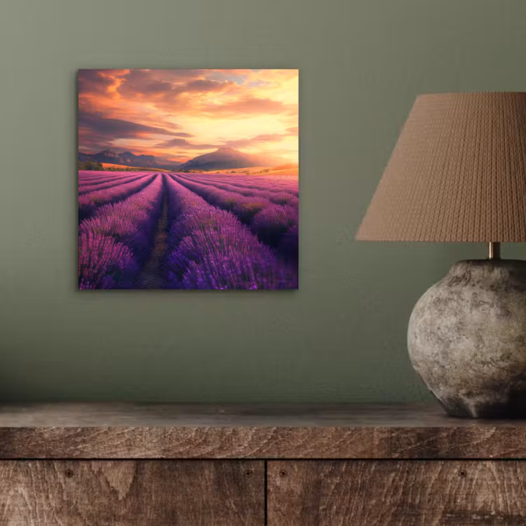Aluminium schilderij - Lavendelveld - Zonsondergang - Paars — 3