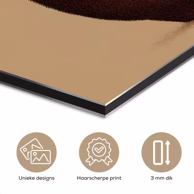 Aluminium schilderij - Beer - Minimalistisch - Bruin — 7