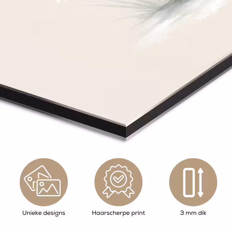 Aluminium schilderij - Beertje - Sneeuwvlokje - Wit - Pluizig — 7
