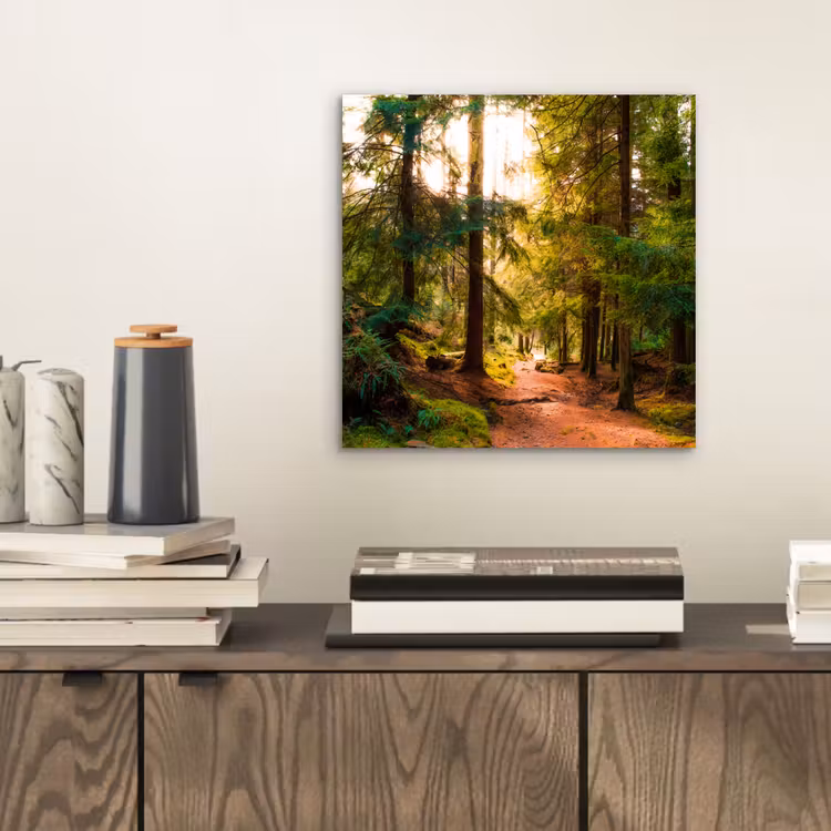 Aluminium schilderij - Bos - Pad - Bomen - Groen - Zon - Natuur — 2