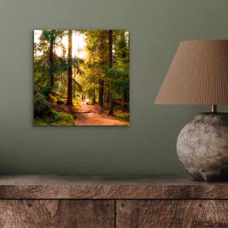 Aluminium schilderij - Bos - Pad - Bomen - Groen - Zon - Natuur — 3