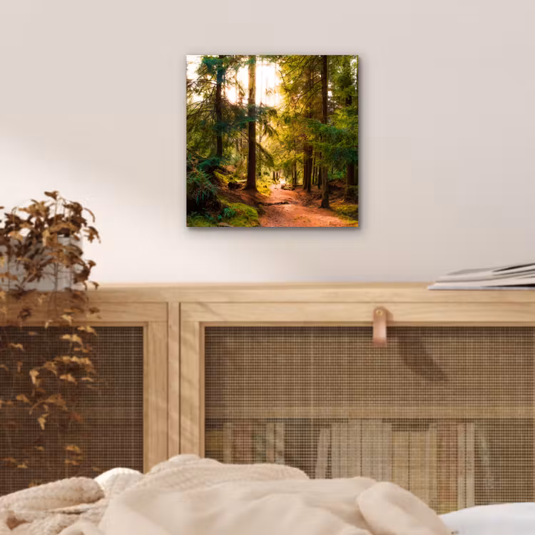 Aluminium schilderij - Bos - Pad - Bomen - Groen - Zon - Natuur — 4