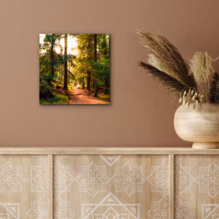 Aluminium schilderij - Bos - Pad - Bomen - Groen - Zon - Natuur — 5