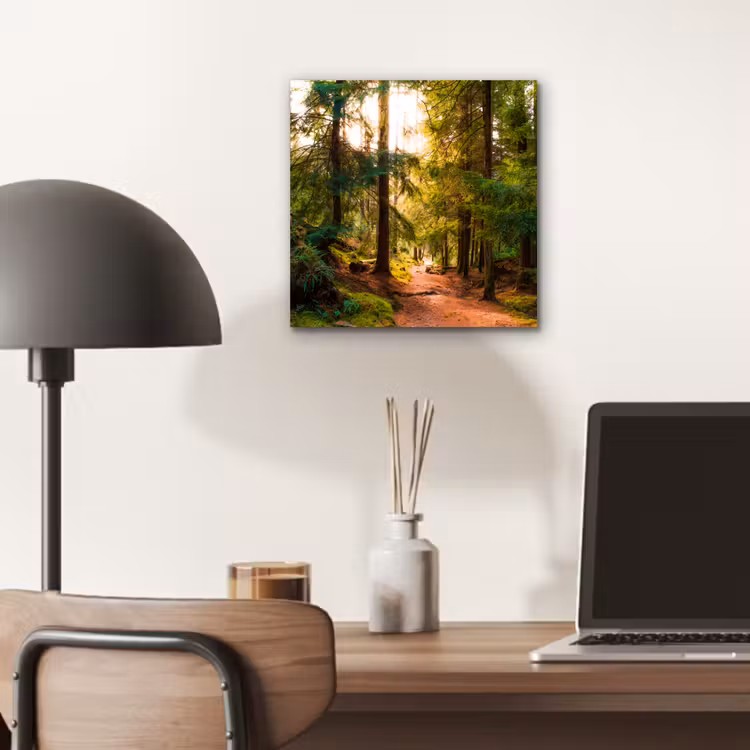 Aluminium schilderij - Bos - Pad - Bomen - Groen - Zon - Natuur — 6