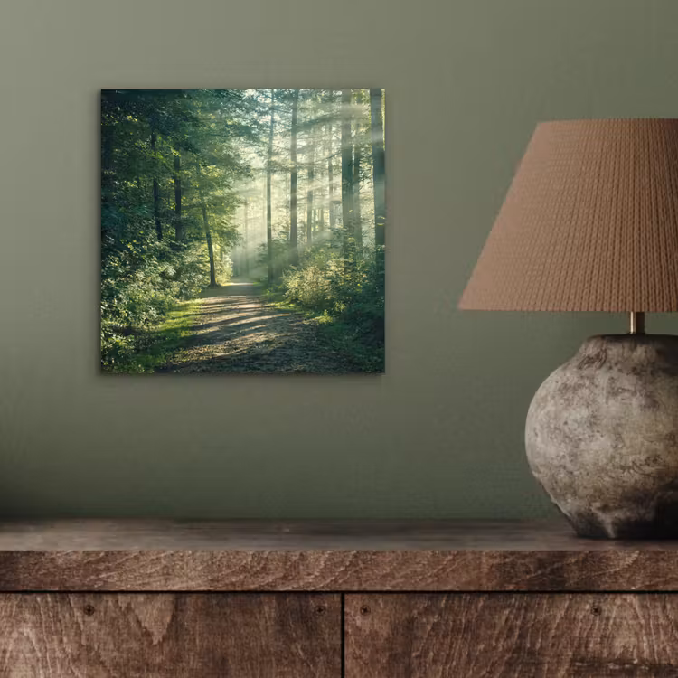 Aluminium schilderij - Bos - Pad - Zon - Bomen - Groen - Natuur — 3