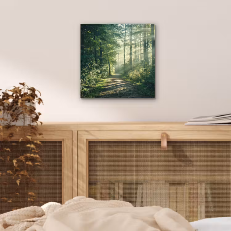 Aluminium schilderij - Bos - Pad - Zon - Bomen - Groen - Natuur — 4