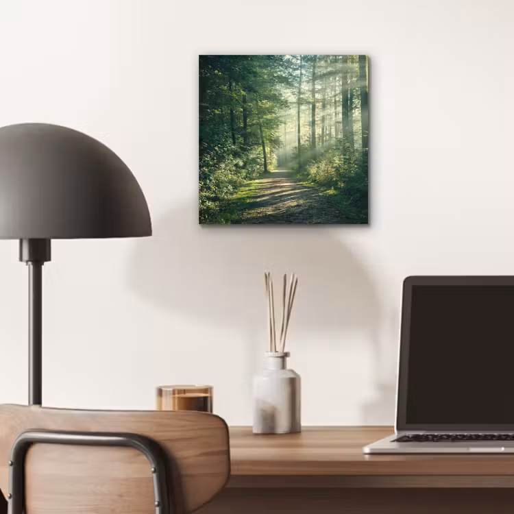 Aluminium schilderij - Bos - Pad - Zon - Bomen - Groen - Natuur — 6
