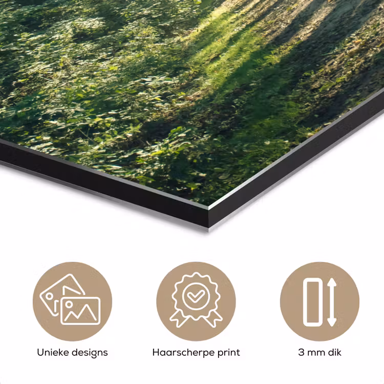 Aluminium schilderij - Bos - Pad - Zon - Bomen - Groen - Natuur — 7