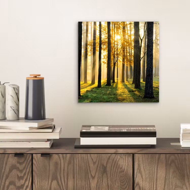 Aluminium schilderij - Bos - Zon - Bomen - Gras - Landschap  - Natuur — 2