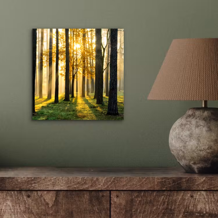 Aluminium schilderij - Bos - Zon - Bomen - Gras - Landschap  - Natuur — 3