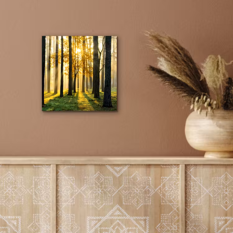 Aluminium schilderij - Bos - Zon - Bomen - Gras - Landschap  - Natuur — 5
