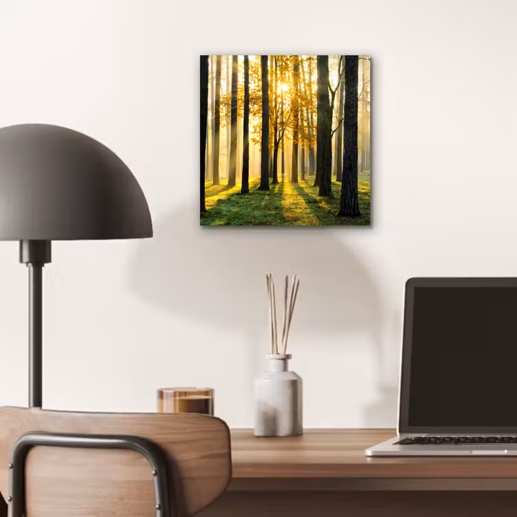 Aluminium schilderij - Bos - Zon - Bomen - Gras - Landschap  - Natuur — 6