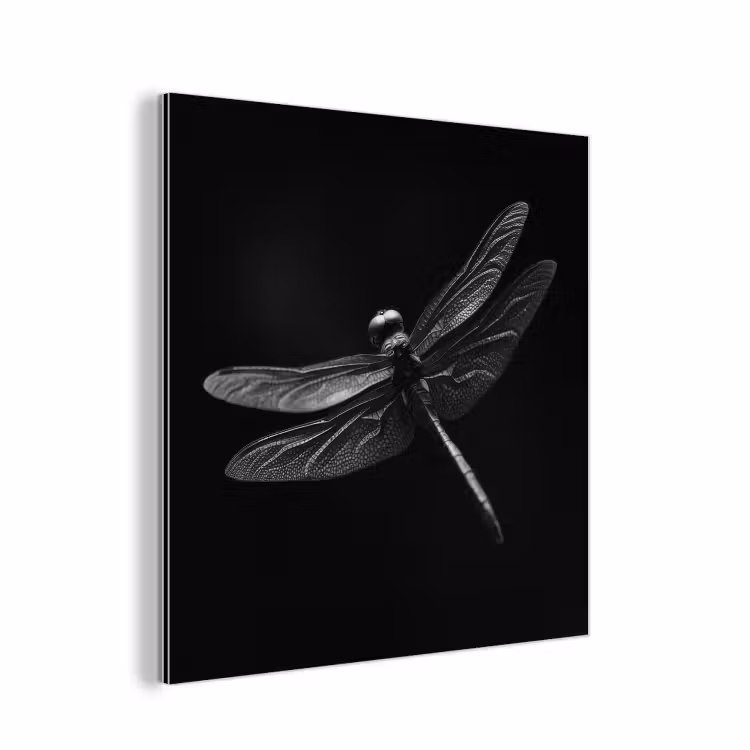 Aluminium schilderij - Libelle - Dieren - Zwart - Insect — 1