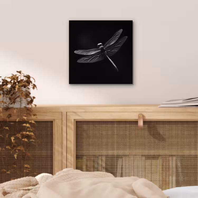Aluminium schilderij - Libelle - Dieren - Zwart - Insect — 4