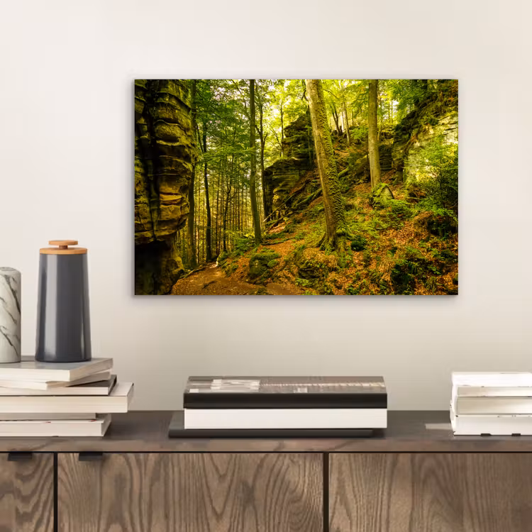 Aluminium schilderij - Bomen - Steen - Bos - Natuur - Planten — 2