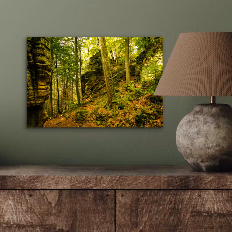 Aluminium schilderij - Bomen - Steen - Bos - Natuur - Planten — 3
