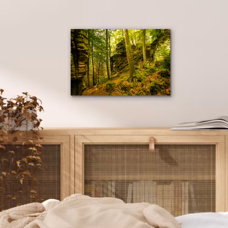 Aluminium schilderij - Bomen - Steen - Bos - Natuur - Planten — 4