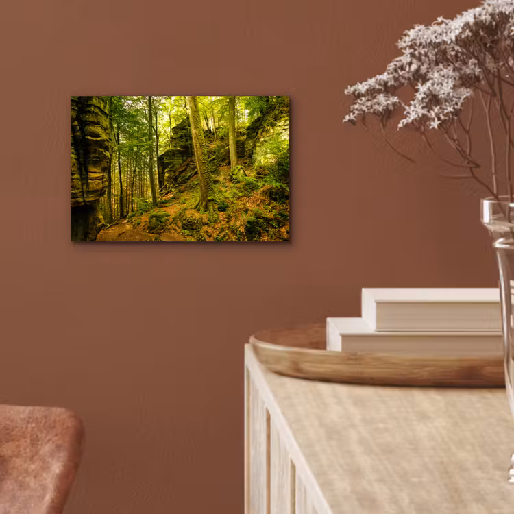 Aluminium schilderij - Bomen - Steen - Bos - Natuur - Planten — 5