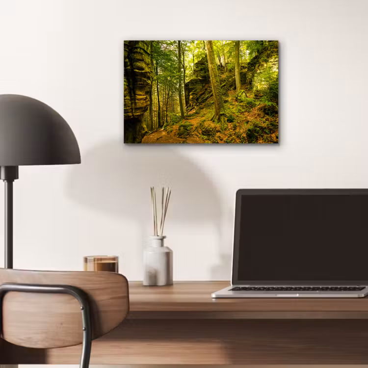Aluminium schilderij - Bomen - Steen - Bos - Natuur - Planten — 6