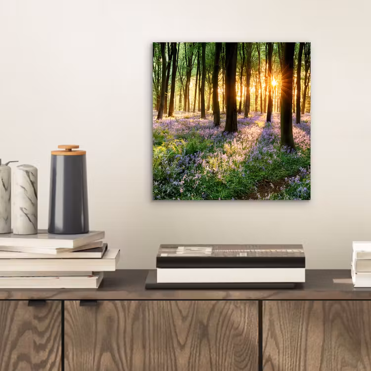 Aluminium schilderij - Bos - Bloemen - Lavendel - Zon - Paars - Natuur — 2