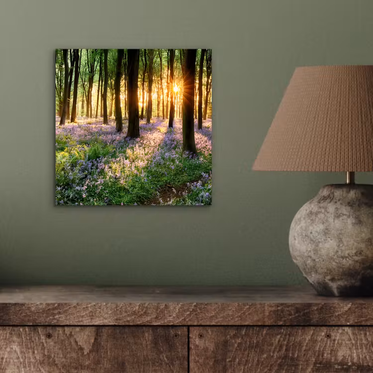 Aluminium schilderij - Bos - Bloemen - Lavendel - Zon - Paars - Natuur — 3