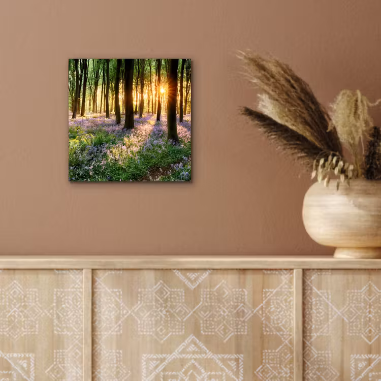 Aluminium schilderij - Bos - Bloemen - Lavendel - Zon - Paars - Natuur — 5