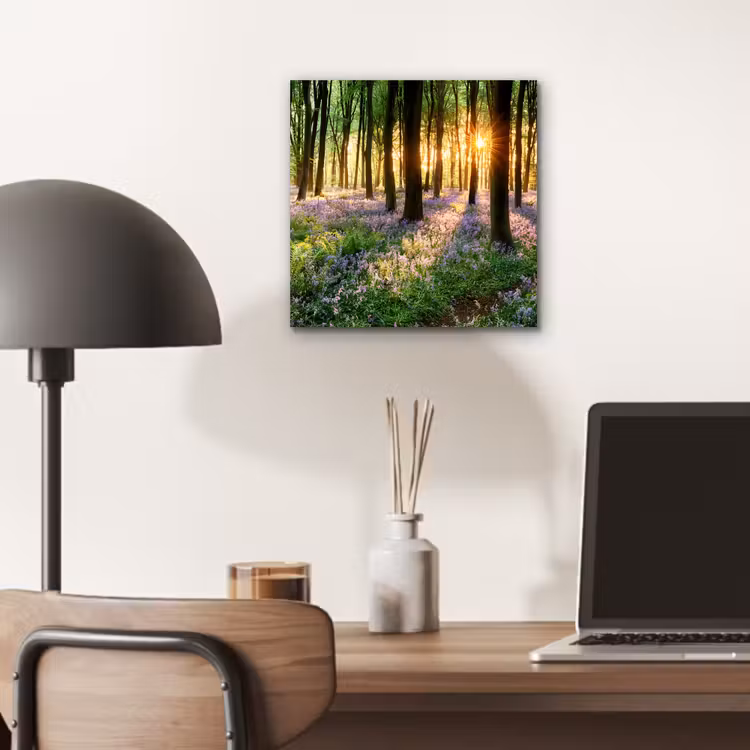 Aluminium schilderij - Bos - Bloemen - Lavendel - Zon - Paars - Natuur — 6