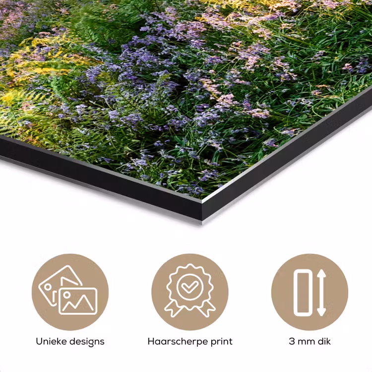Aluminium schilderij - Bos - Bloemen - Lavendel - Zon - Paars - Natuur — 7