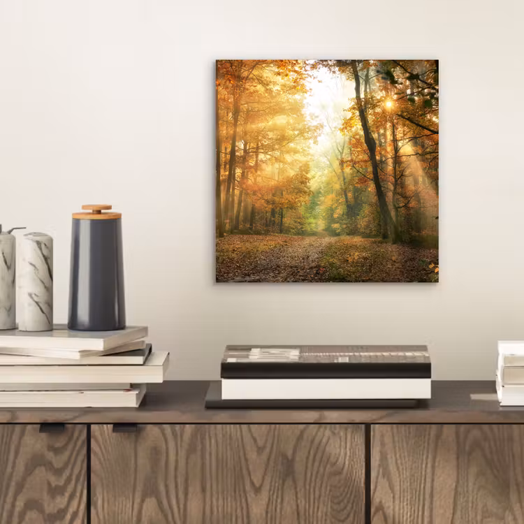 Aluminium schilderij - Bos - Herfst - Zon - Landschap - Natuur - Bomen - Bladeren — 2