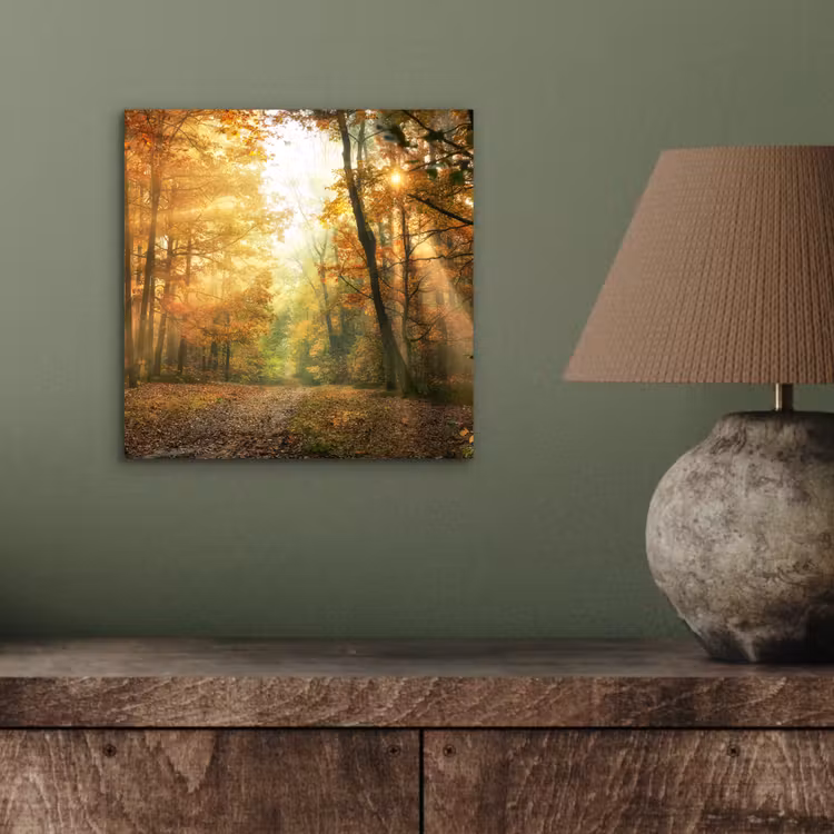Aluminium schilderij - Bos - Herfst - Zon - Landschap - Natuur - Bomen - Bladeren — 3