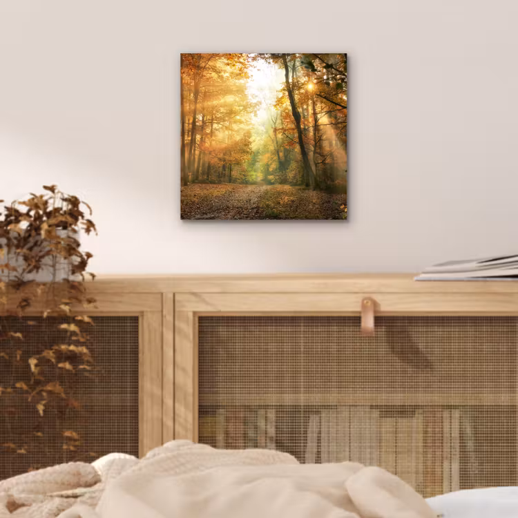 Aluminium schilderij - Bos - Herfst - Zon - Landschap - Natuur - Bomen - Bladeren — 4