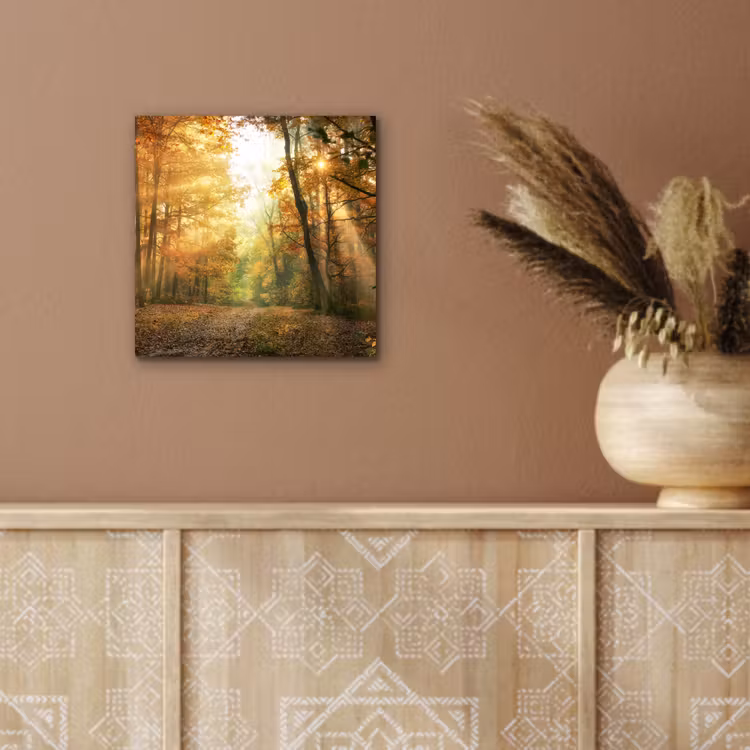 Aluminium schilderij - Bos - Herfst - Zon - Landschap - Natuur - Bomen - Bladeren — 5