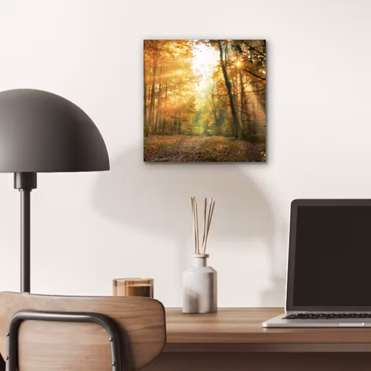 Aluminium schilderij - Bos - Herfst - Zon - Landschap - Natuur - Bomen - Bladeren — 6