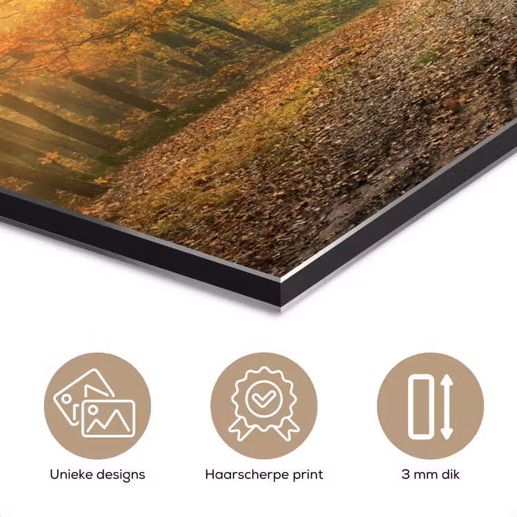 Aluminium schilderij - Bos - Herfst - Zon - Landschap - Natuur - Bomen - Bladeren — 7