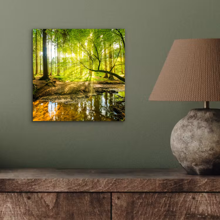 Aluminium schilderij - Bos - Landschap - Water - Bomen - Zon - Groen - Natuur — 3