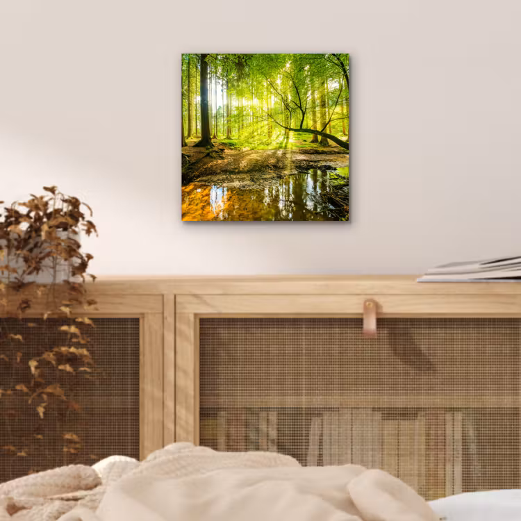 Aluminium schilderij - Bos - Landschap - Water - Bomen - Zon - Groen - Natuur — 4