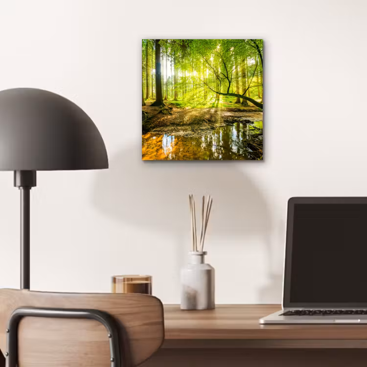 Aluminium schilderij - Bos - Landschap - Water - Bomen - Zon - Groen - Natuur — 6