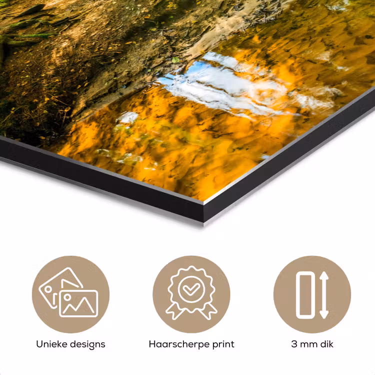 Aluminium schilderij - Bos - Landschap - Water - Bomen - Zon - Groen - Natuur — 7