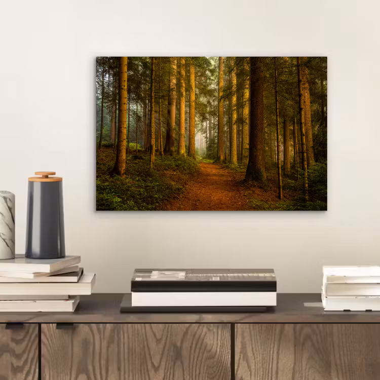 Aluminium schilderij - Bos - Natuur - Bomen - Landschap - Bladeren — 2