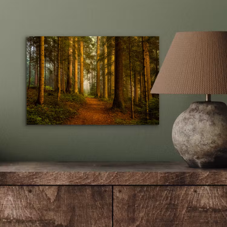 Aluminium schilderij - Bos - Natuur - Bomen - Landschap - Bladeren — 3