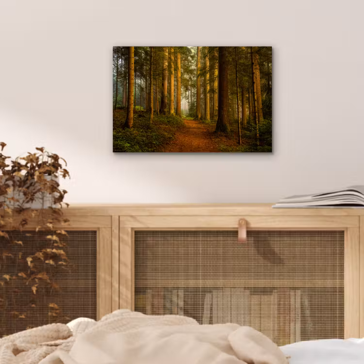 Aluminium schilderij - Bos - Natuur - Bomen - Landschap - Bladeren — 4